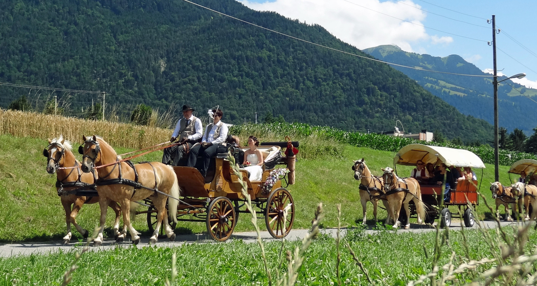 Kutschenfahrten Scalärahof
