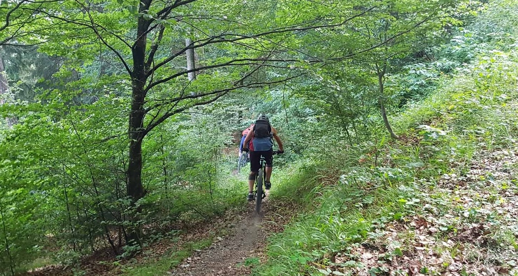 Einstieg in den Trail