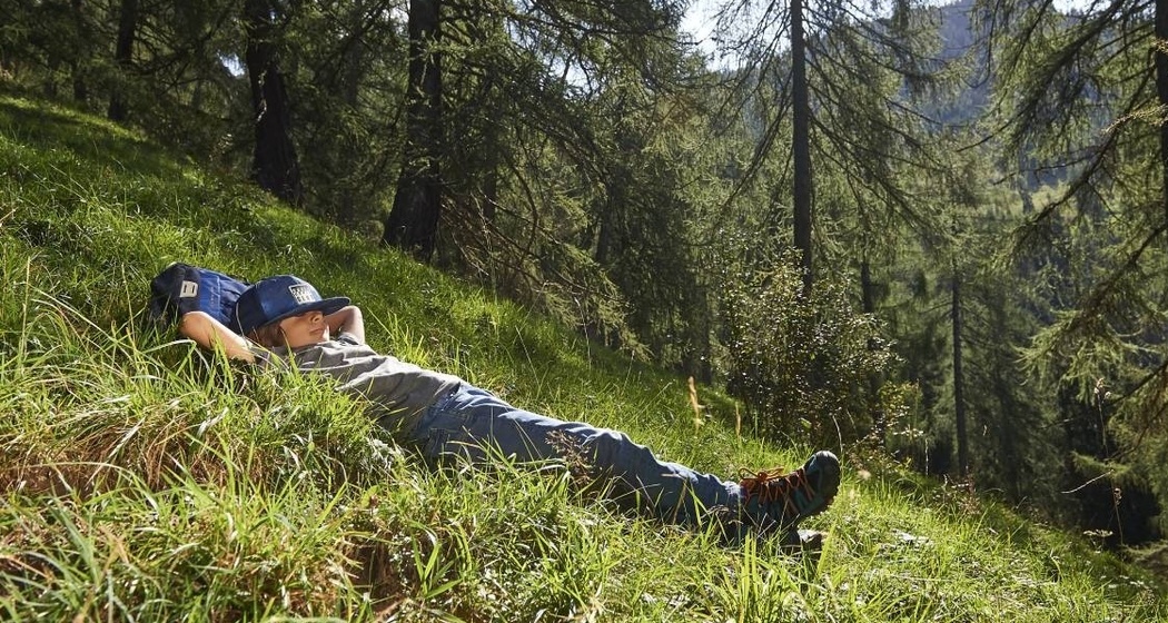 Die Lärchenwälder zwischen Tschiertschen und Praden laden zu einer kleinen Pause ein.