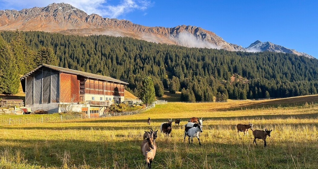 Hofansicht_Hof_Lajet