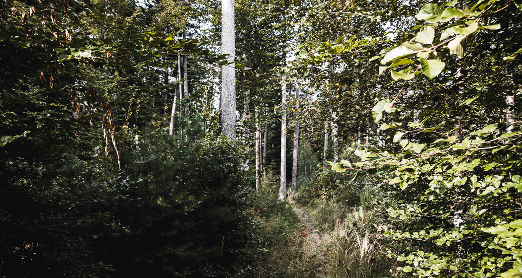 Fürstenwald Green Familientour