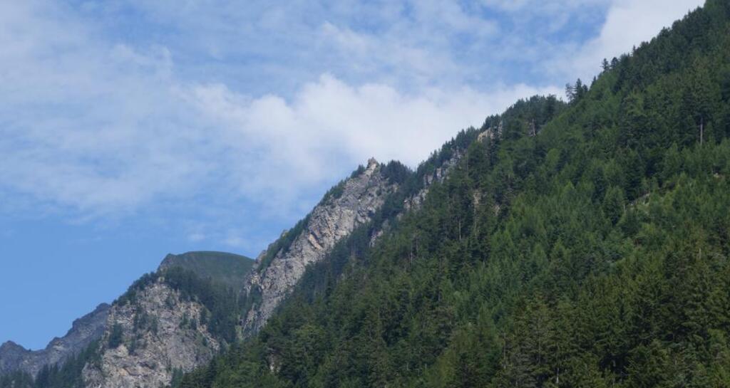 Fürhörnli von unten (Mittenberg)