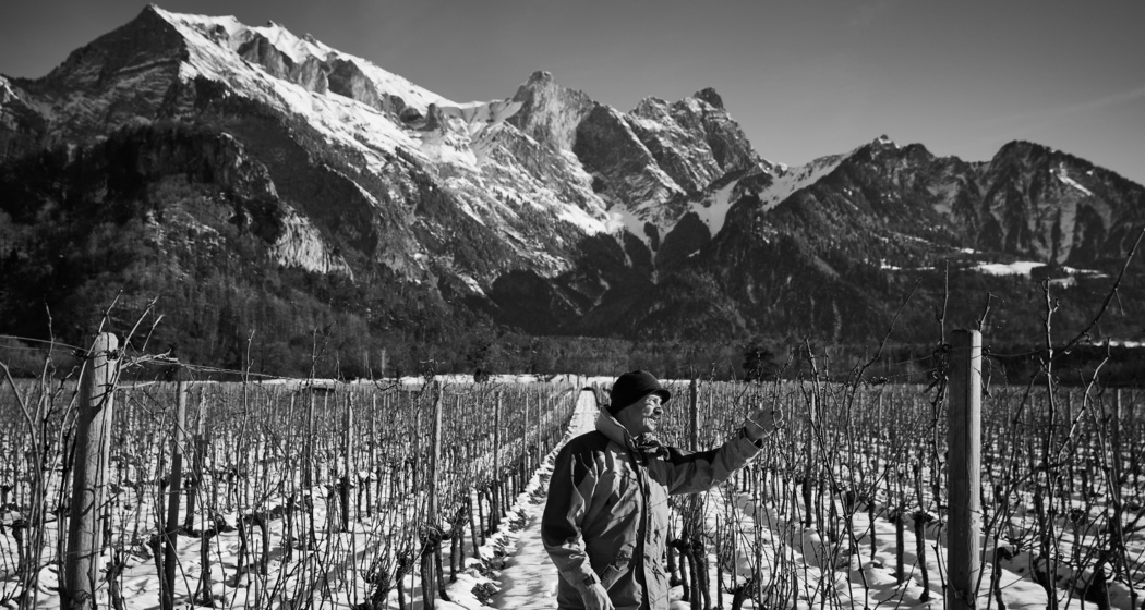 Weingut Familie Hansruedi Adank