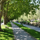 Der Tamina entlang ins Dorf