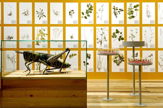 Bündner Naturmuseum