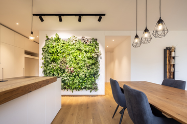 Innenbegruenung mittels Pflanzenwand