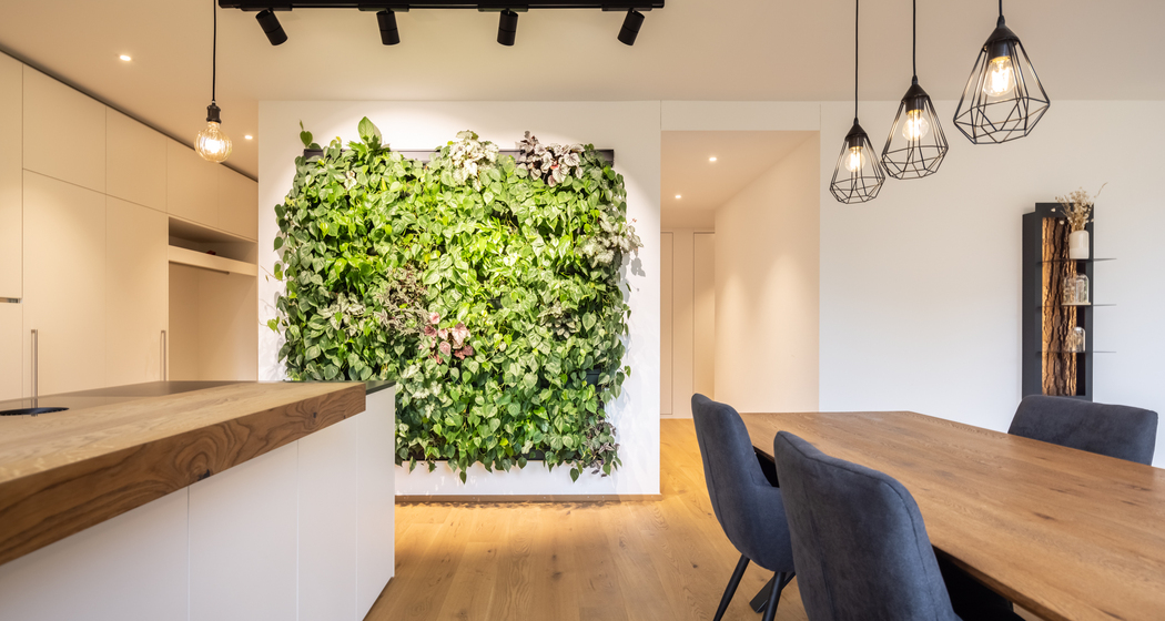 Innenbegruenung mittels Pflanzenwand