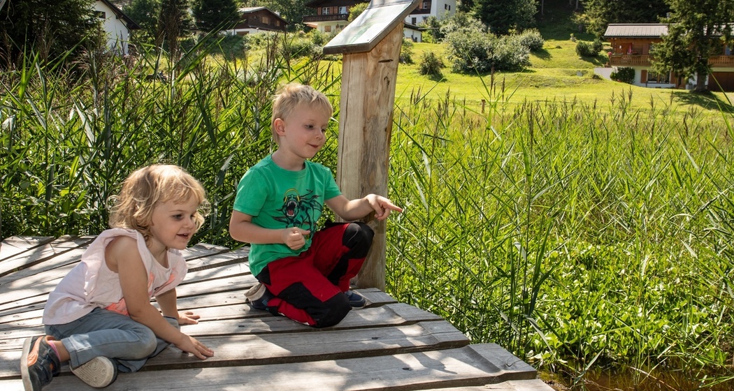 Moorpfad Riedboden, Brambrüesch