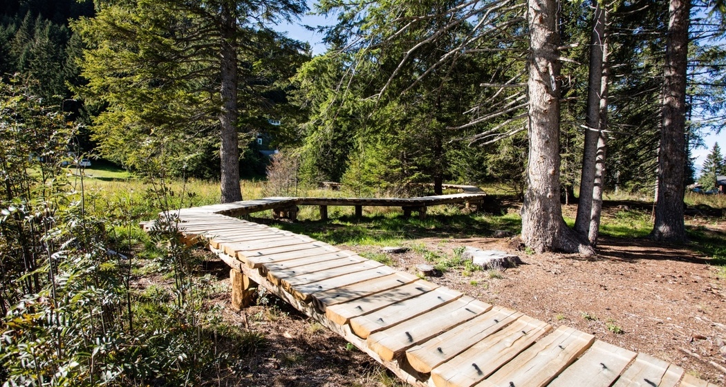 Moor Riedboden/Brambrüesch