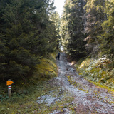 Calanda Trail