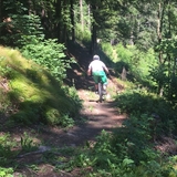 Trail zwischen Malix und Passugg