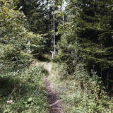 Maschänser Scalära Trail