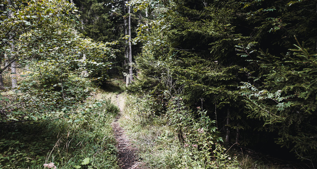 Maschänser Scalära Trail