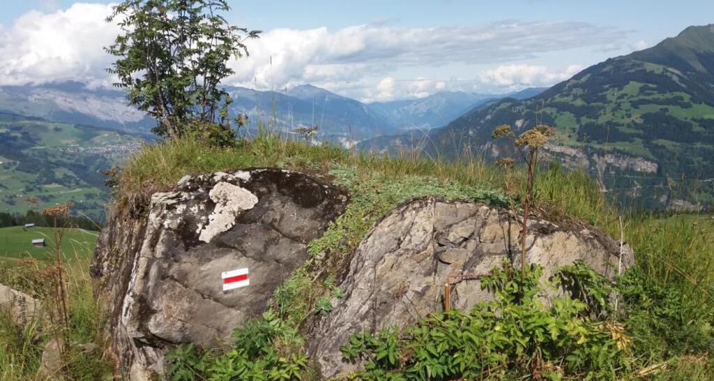 Ils praus pussents - Die mächtigen Wiesen