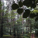 Fürstenwald Green Familientour