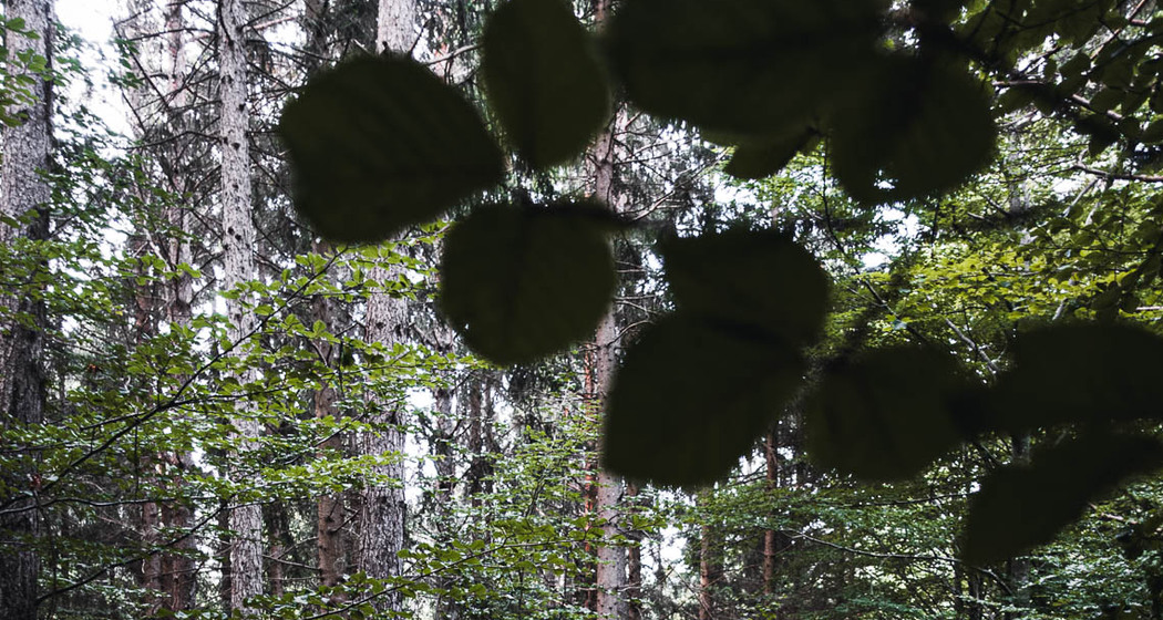 Fürstenwald Green Familientour
