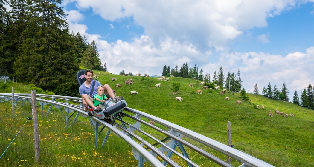 Optionale Fahrt mit der Rodelbahn FLOOMZER - looos geht's!