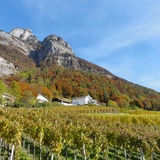 Weinbauweg Sargans-Mels
