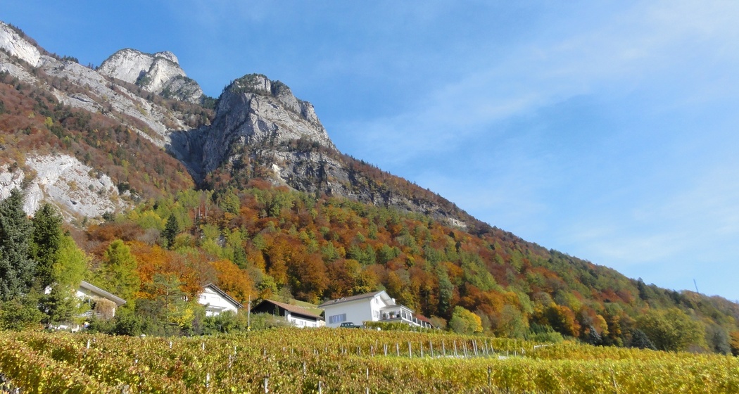 Weinbauweg Sargans-Mels
