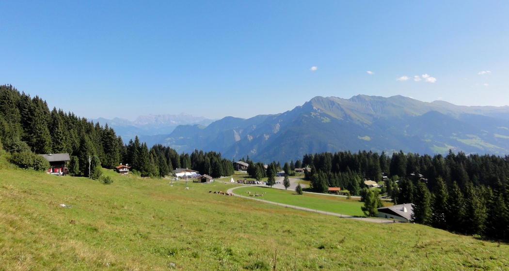 sehenswuerdigkeit_brambruesch_sommer-panorama_michaelchrist (5)