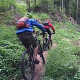 Trail zwischen Malix und Passugg