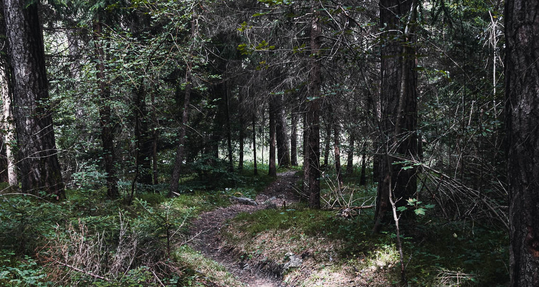 Trimmiser Rüfe Trail