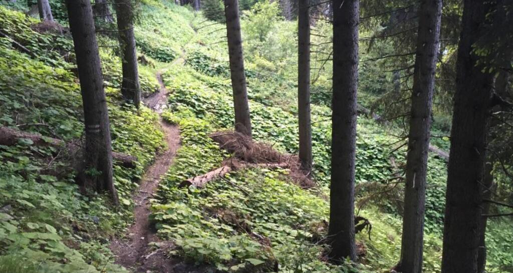 Antennatrail Brambrüesch