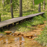 Rözenwald, Wasserweg