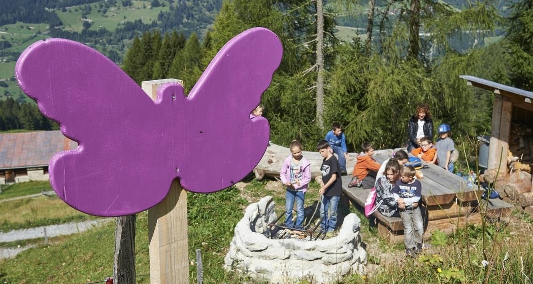 Schmetterlingsweg Tschiertschen