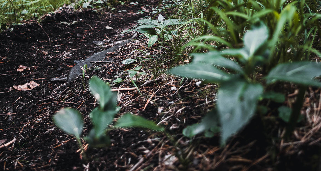 Fürstenflow Royale Superiore