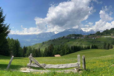 feldis-16-9-andi-egger