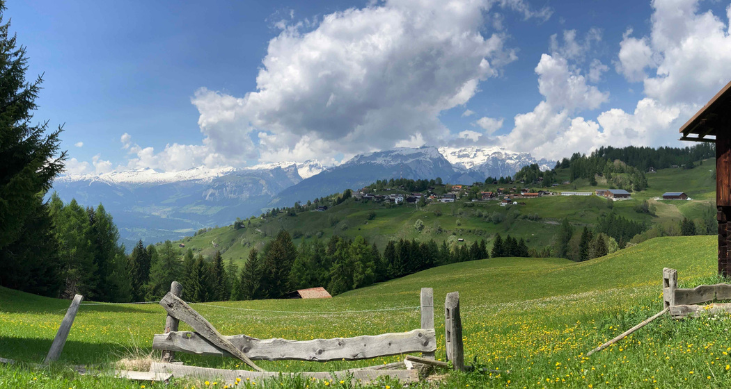 feldis-16-9-andi-egger