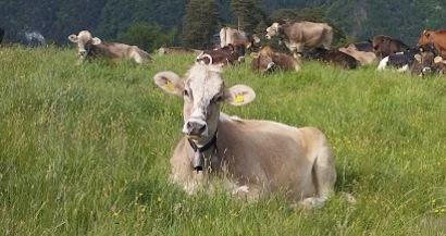 IMG_20240526_174152