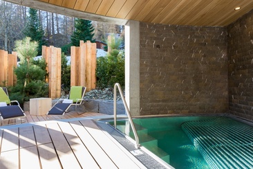 Spa vom The Alpina Mountain Resort