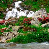 Etzlibach bei Gulmen N Etzlihütte