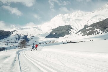 Zwei Langläufer auf der Loipe