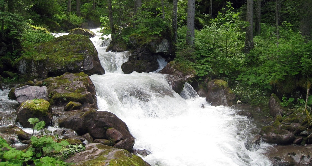 Gsponbachfall (oua_82386251_image)
