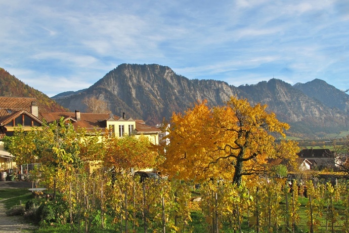 Weingut Fromm, Malans