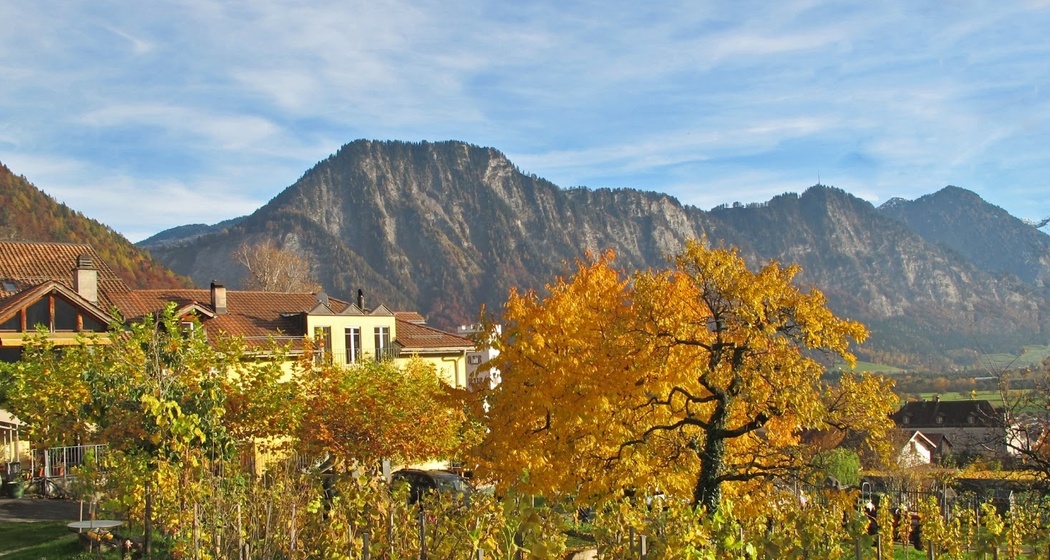 Weingut Fromm, Malans
