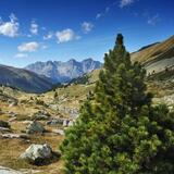 43 Jakobsweg Gesamttour (20 Etappen)