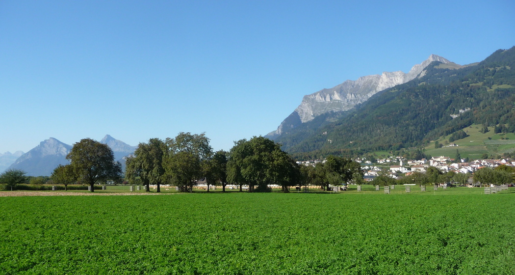Willkommen im Winzerdörfchen Malans