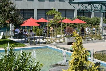 Tavulin – aifach dehai