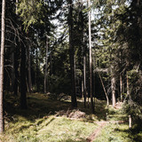 Maschänser Scalära Trail
