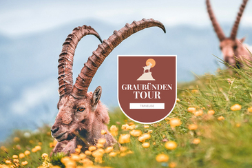 travelise-alpine-circle-angebot