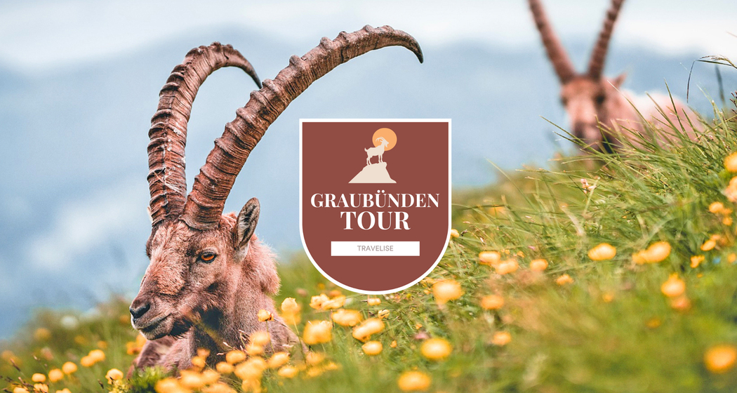 travelise-alpine-circle-angebot