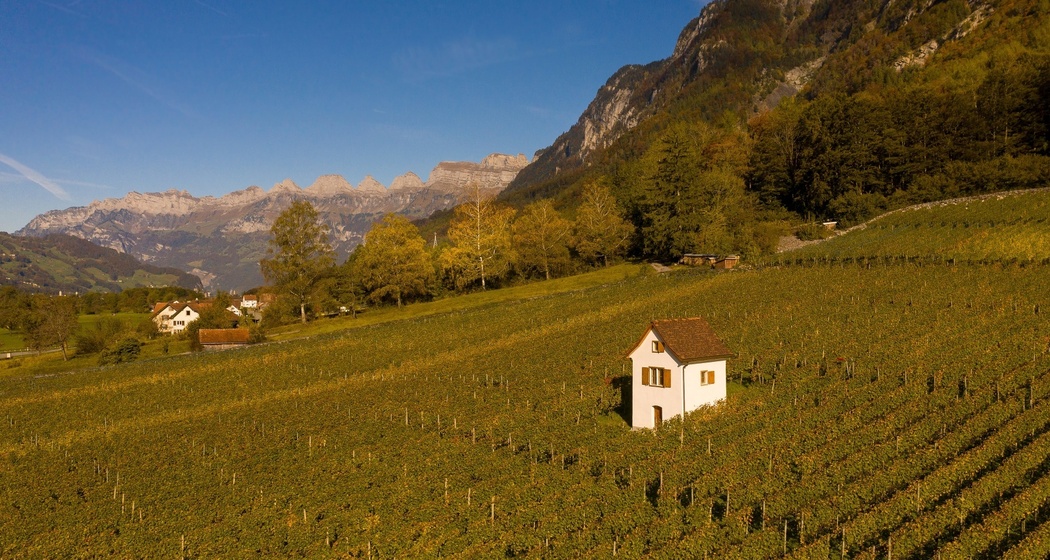 Weinberg Heiligkreuz (Mels)