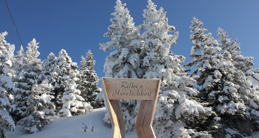 Aufstieg zum Prodkopf