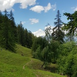 Trail von Tschiertschen nach Praden