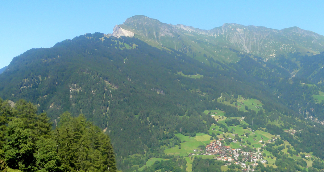 Blick auf Maladers und den Montalin - das Fürhörnli liegt direkt bei der Baumgrenze