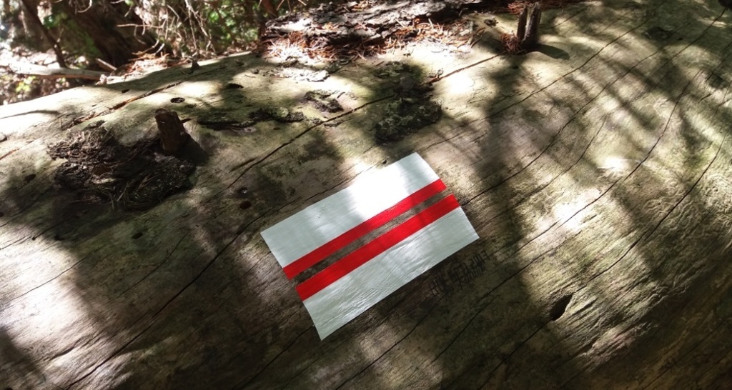 Der funkelnde Federstrich